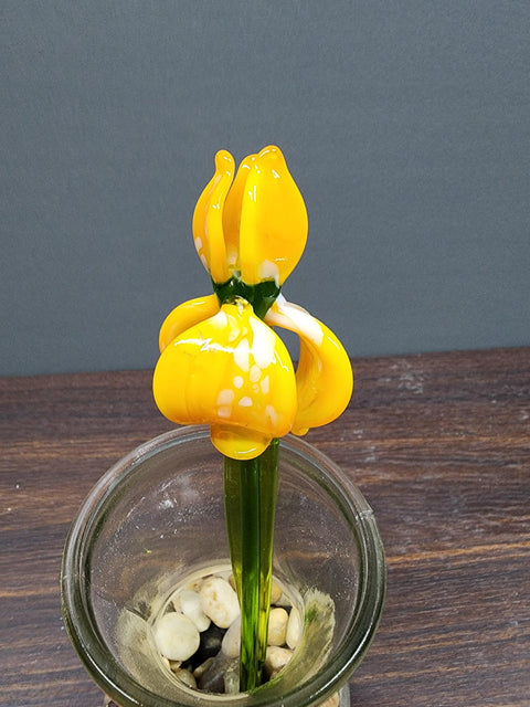 Yellow Glass Iris - Handcrafted Long Stem Flower