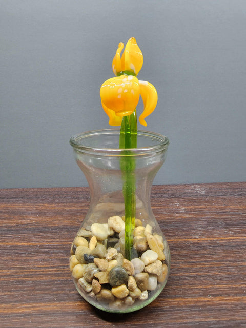 Yellow Glass Iris - Handcrafted Long Stem Flower