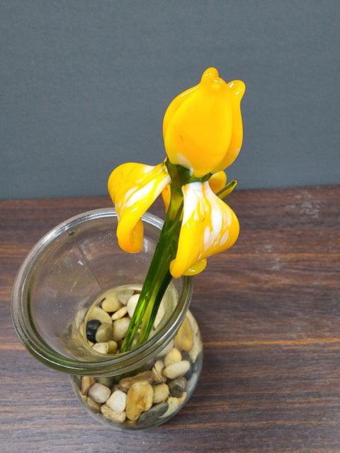 Yellow Glass Iris - Handcrafted Long Stem Flower