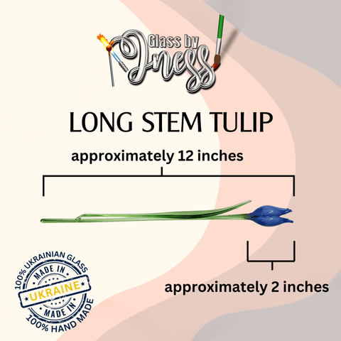 long stem tulip approximately 12 inches approximately 2 inches