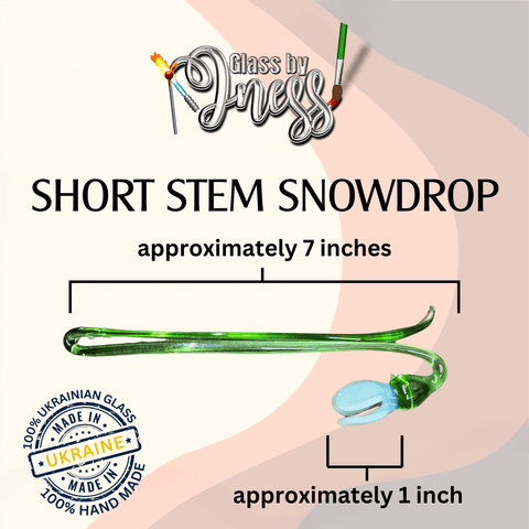 a picture of a short stem snowdrop