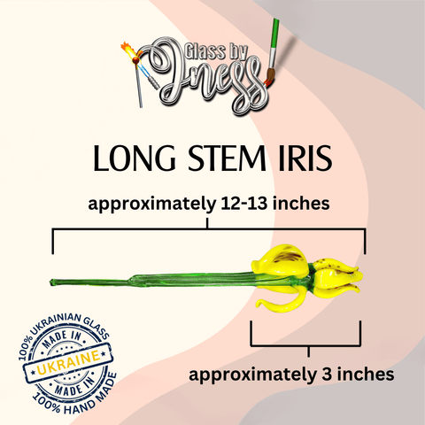 a long stem iris flower is shown in this image