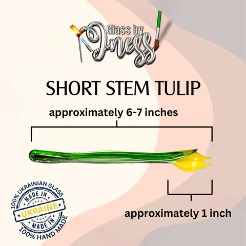 short stem tulip approximately 6 - 7 inches