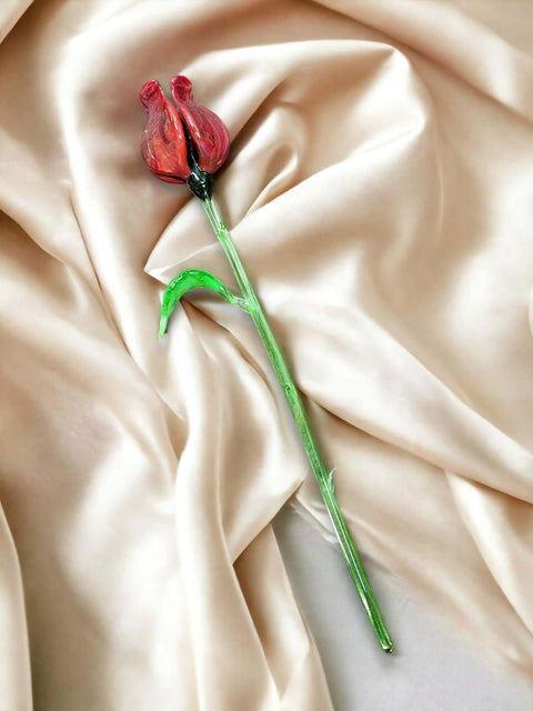 a single red rose sitting on top of a white cloth