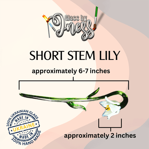 a picture of a short stem lily