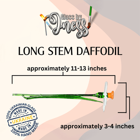 a long stem daffodil is approximately 11 inches