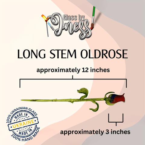 a long stem oldrose is shown with a long stem