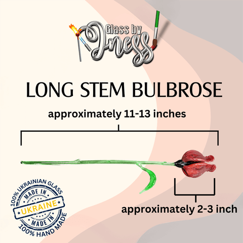 a long stem bulbrose is shown in this image