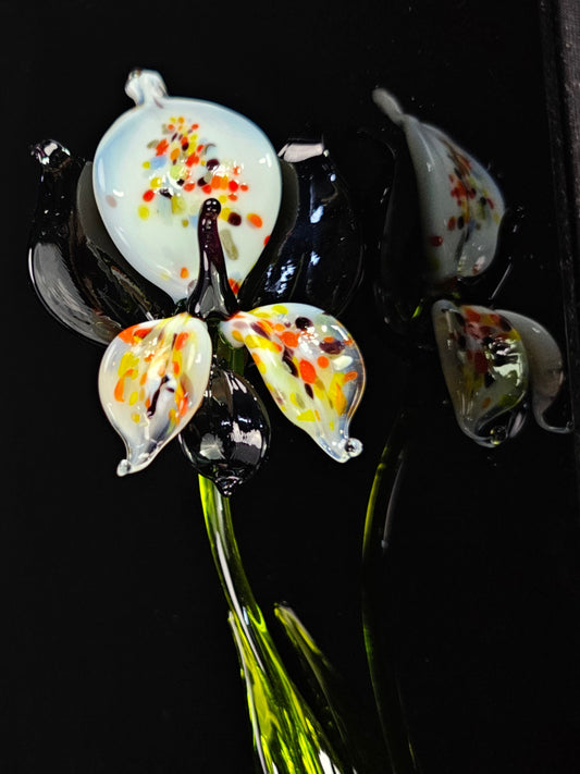 Black Glass Orchid Flower, Handmade in Ukraine Using Traditional Lampwworking Techniques, Murano Quality Gift She's Sure To Love, Single
