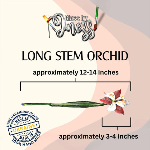 a picture of a long stem orchid