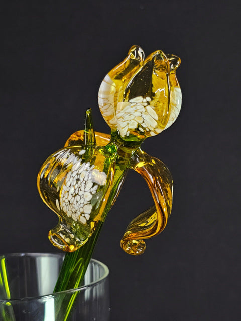 Amber Glass Iris- Handcrafted Long Stem Flower