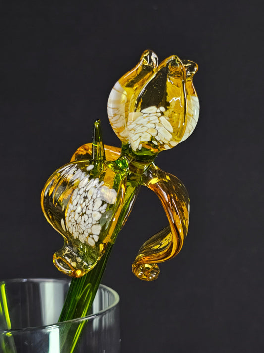 Amber Glass Iris Flower, Handmade in Ukraine Using Traditional Lampwworking Techniques, Murano Quality Gift She's Sure To Love, Single Iris