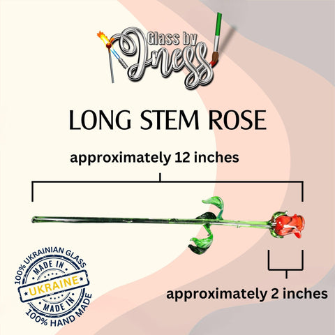 long stem rose approximately 12 inches approximately 2 inches