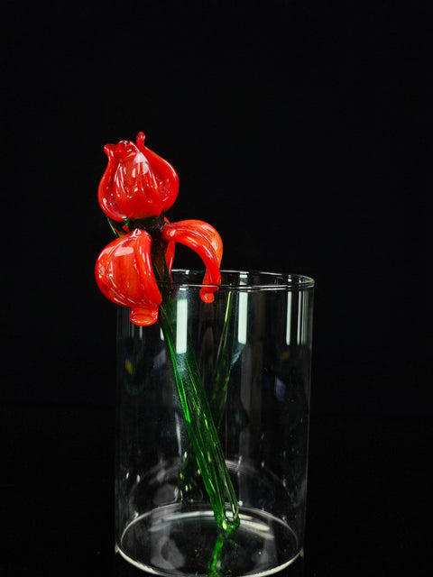 a glass vase with a red flower in it