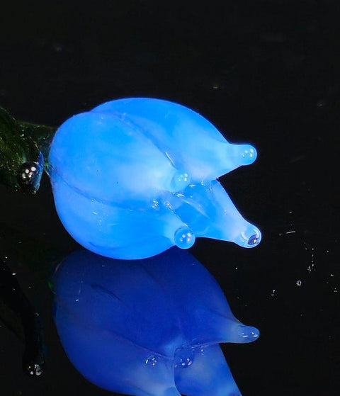 a blue object floating on top of a body of water