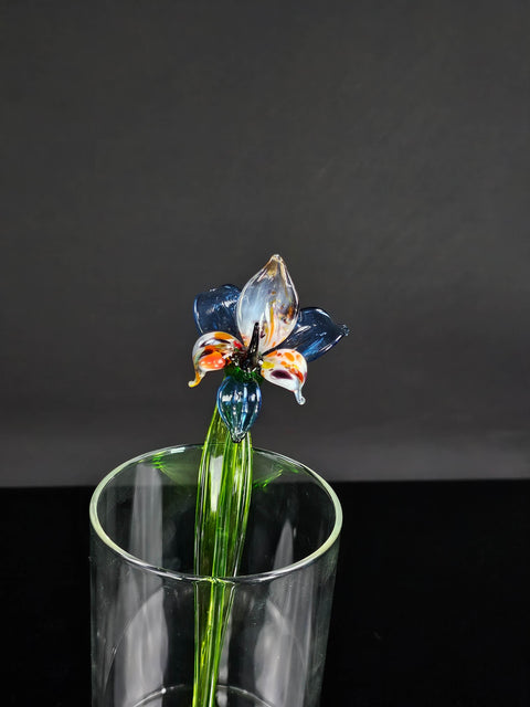 a glass vase with a flower in it