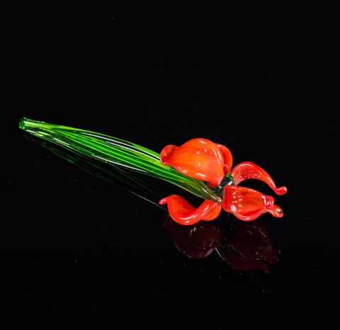 a red flower sitting on top of a green stem