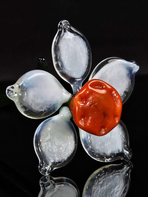 a piece of glass with a tomato on it