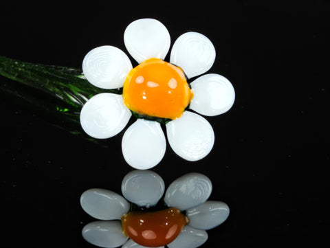 a close up of a flower on a table