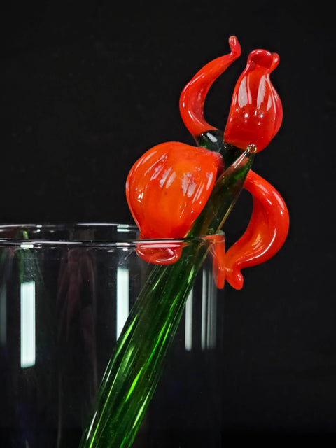 a glass vase with a red flower in it