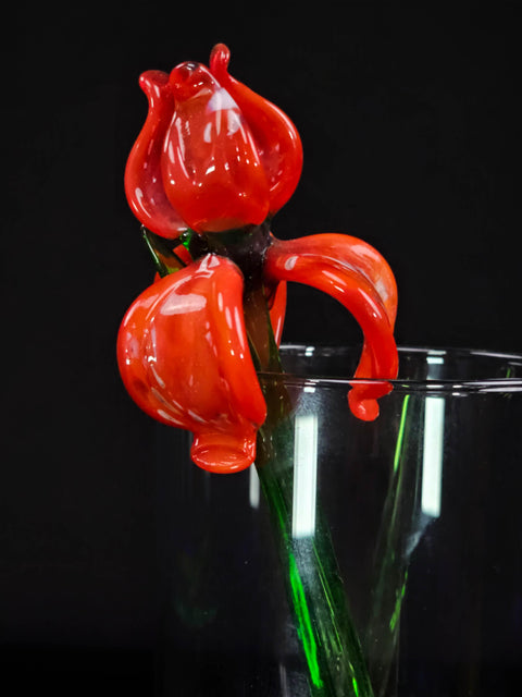 a glass with some red flowers in it