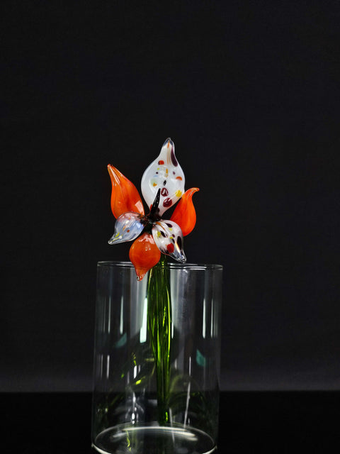 a glass vase with a flower in it