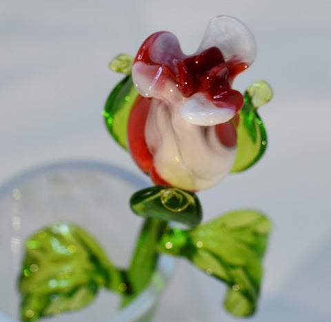 Long Stem Glass Rose - Red and White - Single Rose - Handmade Flower - Alma Mater Rose - Made In Ukraine - Murano Quality