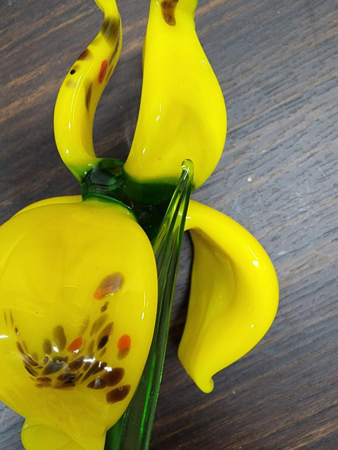 Yellow Glass Iris - Handcrafted Long Stem Flower