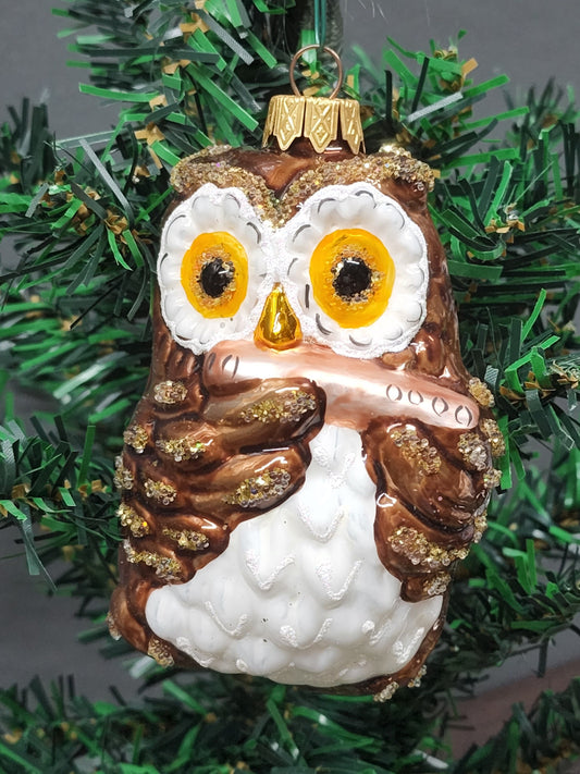 Owl Glass Shape Ornament