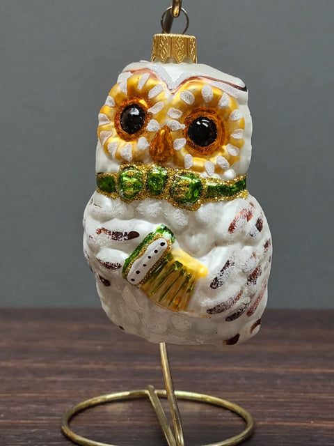 Hand Decorated Glass Keepsake Ornament - Owl With Accordion Design