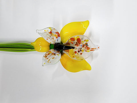 Yellow Glass Orchid - Handcrafted Long Stem Flower