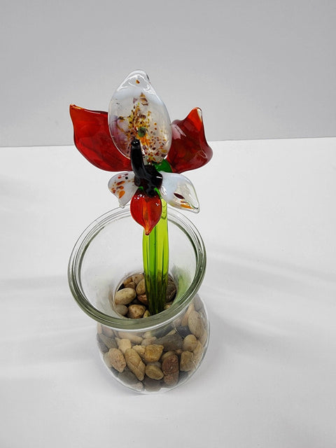 Red Glass Orchid - Handcrafted Short Stem Flower