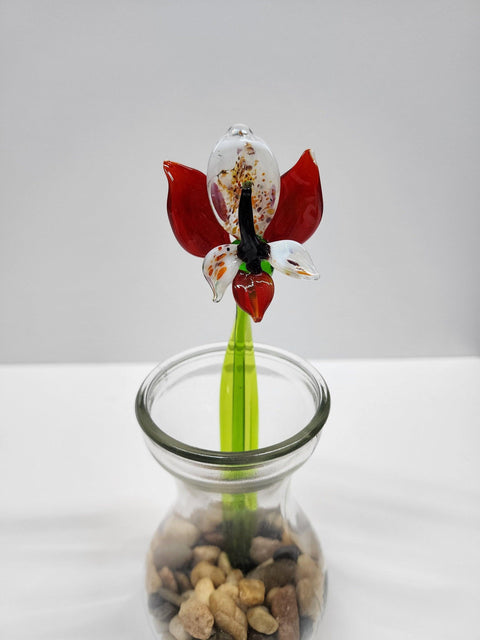 Short Stem Glass Flower Orchid