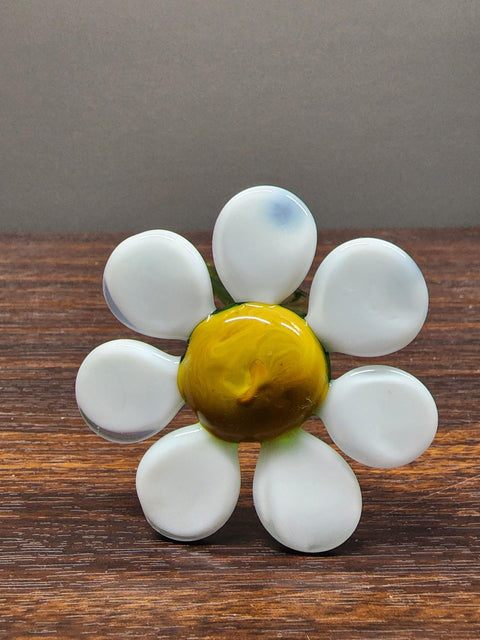 White Glass Daisy - Handcrafted Long Stem Flower